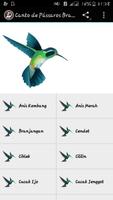 Canto de Pássaros Brasileiros Affiche