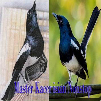 Master Isian Kacer For Android Apk Download