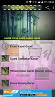 Master Kicau Kacer Gacor Juara capture d'écran 1