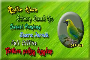 Suara Burung Cucak Ijo Betina Gacor MP3-poster