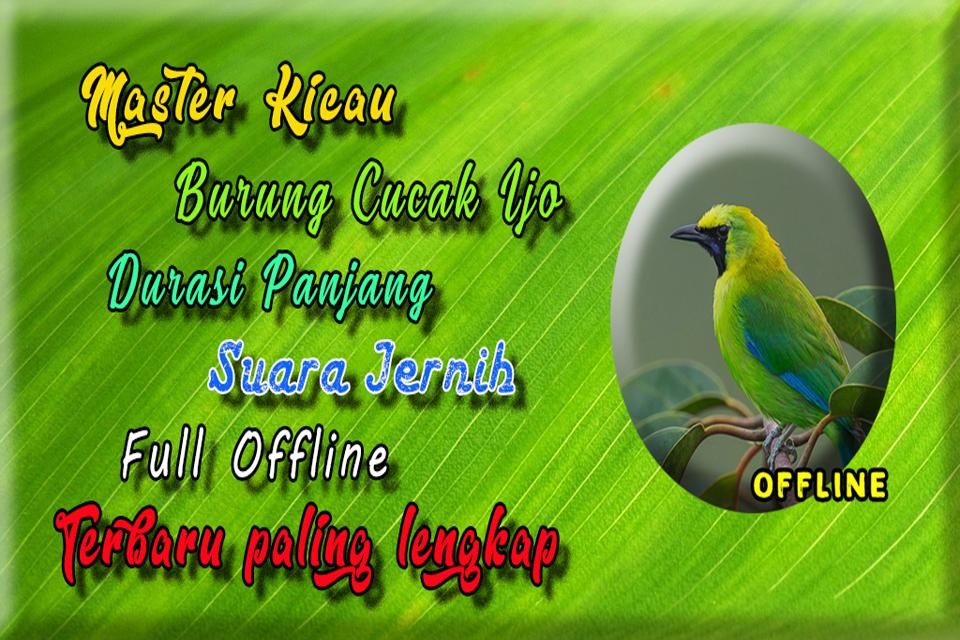 Suara Burung Cucak Ijo Betina Gacor Mp3 For Android Apk Download