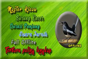 Suara Burung Kacer Betina Gacor MP3 पोस्टर