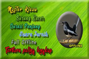 Suara Burung Kacer Betina Gacor MP3 syot layar 1