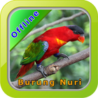 Master Kicau Burung Nuri 아이콘