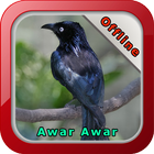 Kicau Burung Awar Awar আইকন