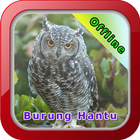 Master Kicau Burung Hantu আইকন