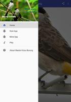 Master Kicau Burung Kutilang постер