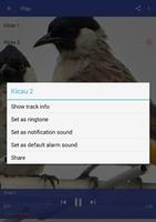 Master Kicau Burung Kutilang скриншот 3