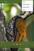 برنامه‌نما Master Kicau Burung Pelatuk عکس از صفحه
