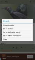 Master Kicau Cucak Keling capture d'écran 2