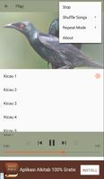 Master Kicau Cucak Keling screenshot 3