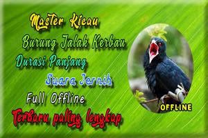 Suara Burung Jalak Kebo Gacor MP3 capture d'écran 2