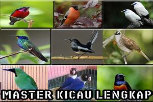 Kicau Burung Master Gacor MP3 imagem de tela 1