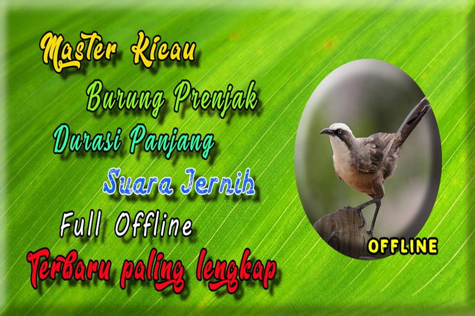 Suara Burung Prenjak Mp3 For Android Apk Download
