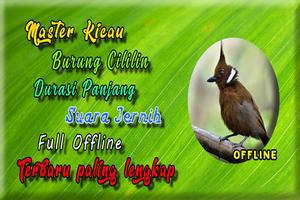 برنامه‌نما Masteran Cililin Durasi Panjang MP3 عکس از صفحه
