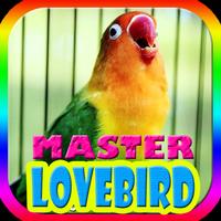 Raja Kicau Master Lovebird capture d'écran 3