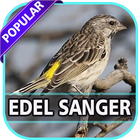 Kicau Edel Sanger Pemaster আইকন