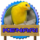 Kicau Kenari Isian Lengkap 아이콘
