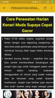 Kicau Kenari Isian Lengkap 스크린샷 3