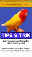 Kicau LoveBrid Pemaster Lengkap 截圖 3