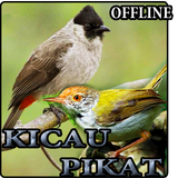 Kicau Prenjak & Kutilang Pikat icono