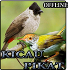 Kicau Prenjak & Kutilang Pikat أيقونة