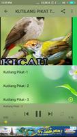 Kicau Prenjak & Kutilang Pikat capture d'écran 2