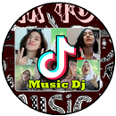 Tik TOK Music Dan Dj Remix Popular APK