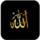 Asma al Husna 99 Names of ALLAH APK