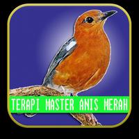 Master Therapy Birds Anis Merah Affiche