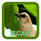 Master Trucukan आइकन