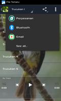 Master Trucukan স্ক্রিনশট 3
