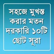 প্রয়োজনীয় ১০টি ছোট সূরা