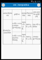 সারা দেশের বিমান সময়সূচী Plakat
