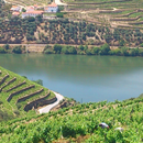 Douro and Port wine APK