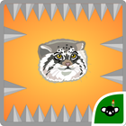 Pallas Cat icon