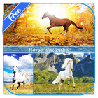 Horse Wallpaper иконка