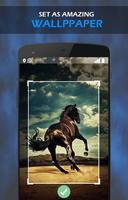 Horse Wallpaper ảnh chụp màn hình 3
