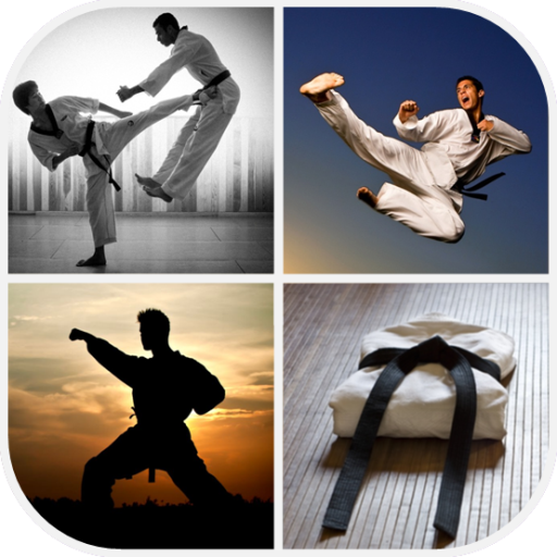 Download Martial Arts Wallpaper 4 0 8 Latest Version Apk For Android At Apkfab