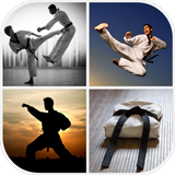 Martial Arts Wallpaper APK