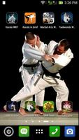 Martial Arts Wallpaper 海報