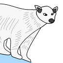 Hungry Polar Bear APK