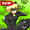 Miraculous cat noir adventure