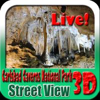 Carlsbad Caverns National Park Maps & Travel Guide Plakat