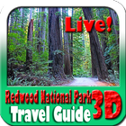 Redwood National Park Travel Guide icône