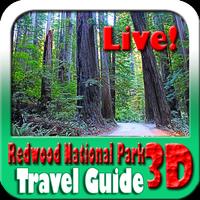Redwood National Park Travel Guide Affiche