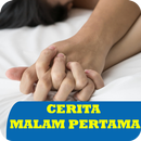 Cerita Lucu Malam Pertama APK