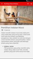 10 Cara Budidaya Murai Batu Medan capture d'écran 3