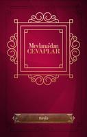 Mevlana'dan Cevaplar 포스터