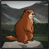 Screaming Marmot Live Wall